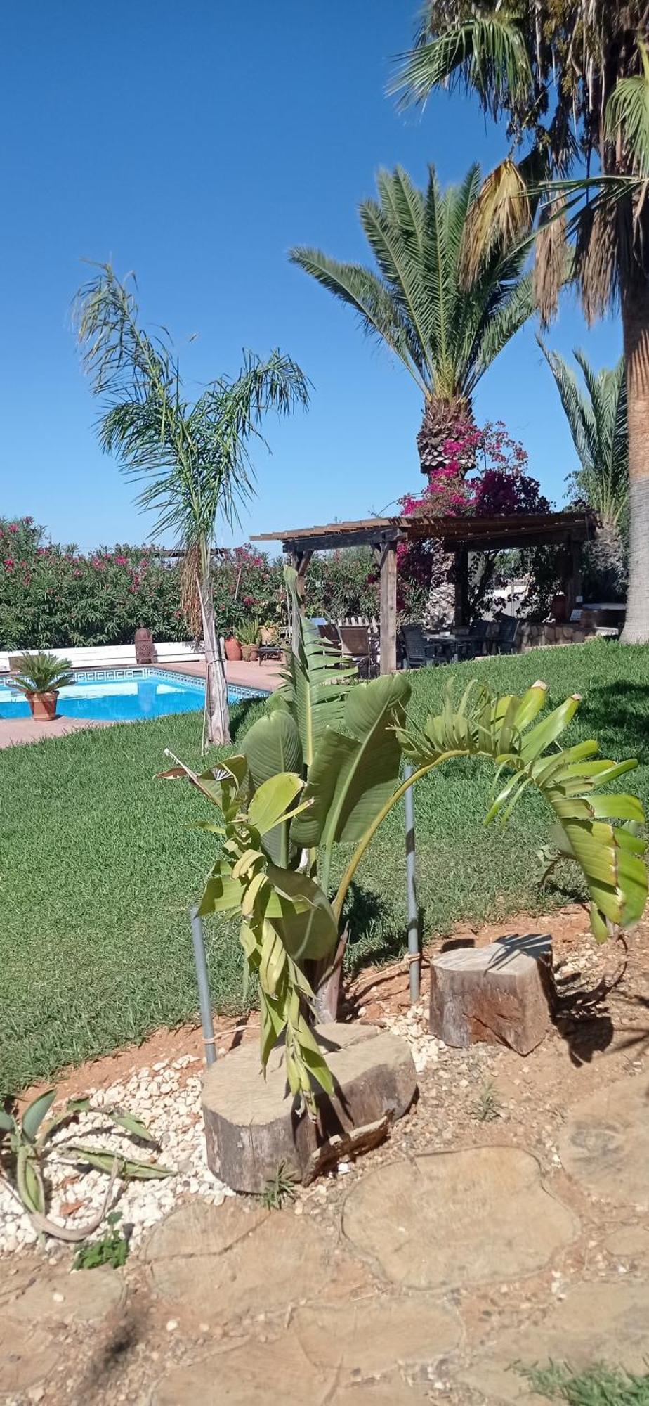 La Luciernaga Pension Chiclana de la Frontera Buitenkant foto