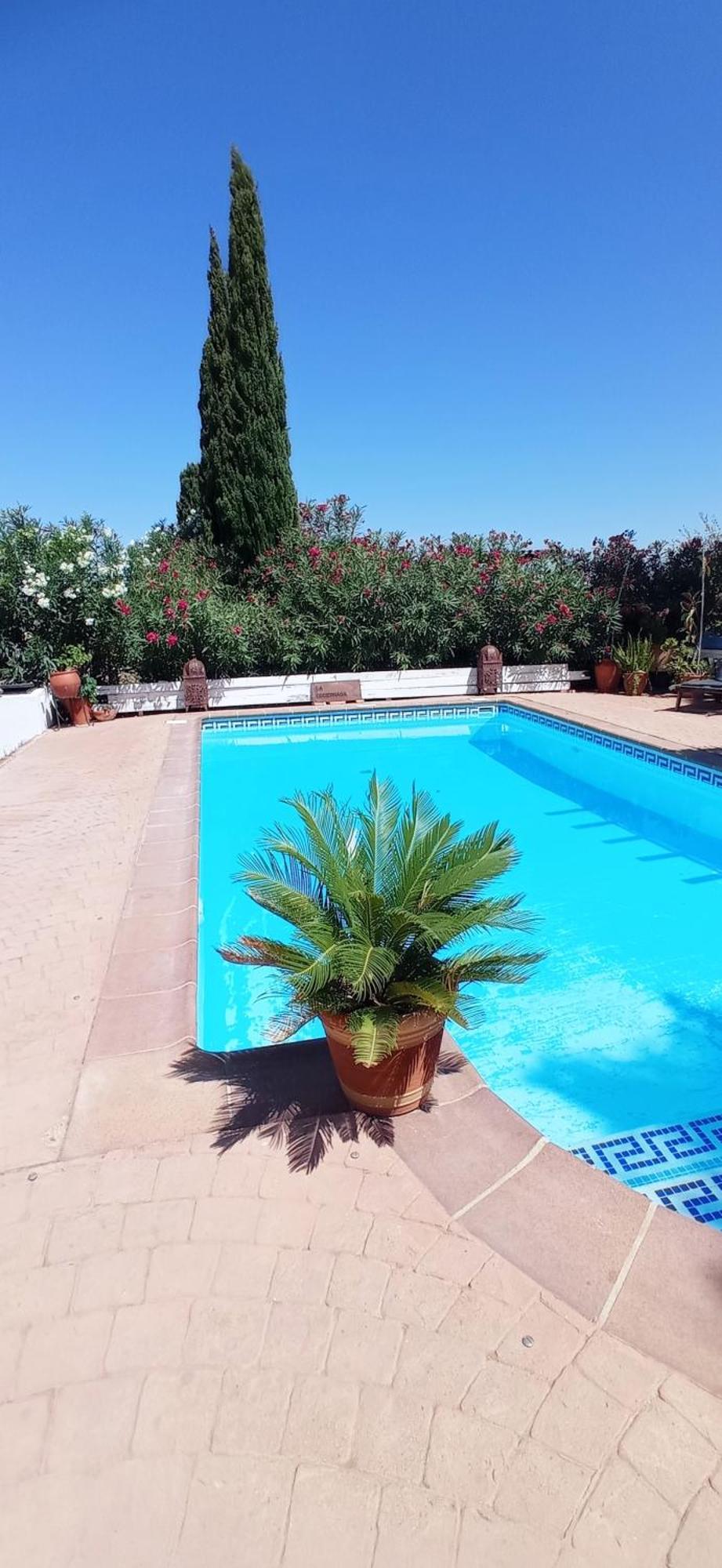La Luciernaga Pension Chiclana de la Frontera Buitenkant foto
